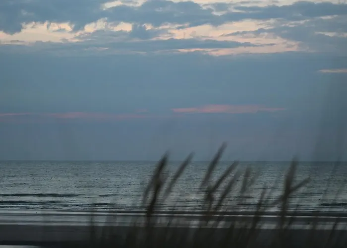 Westendia And Free Parking Breakfast Hotell